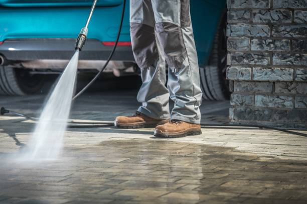 Animal Enclosure Cleaning in Bridgetown, OH